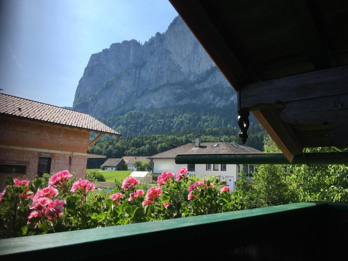 Ferienwohnung Meindl Elfi An Der Drachenwand 44 Mondsee Dış mekan fotoğraf