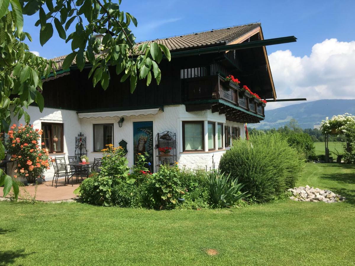 Ferienwohnung Meindl Elfi An Der Drachenwand 44 Mondsee Dış mekan fotoğraf