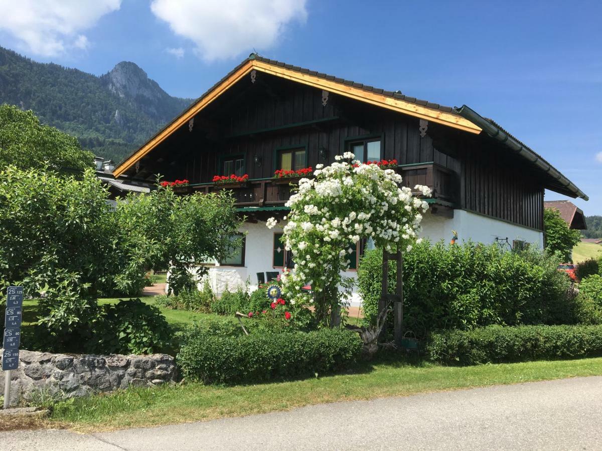 Ferienwohnung Meindl Elfi An Der Drachenwand 44 Mondsee Dış mekan fotoğraf